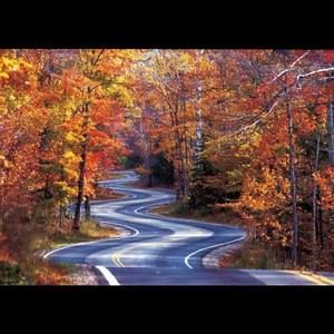 Meet your Posher, Dan